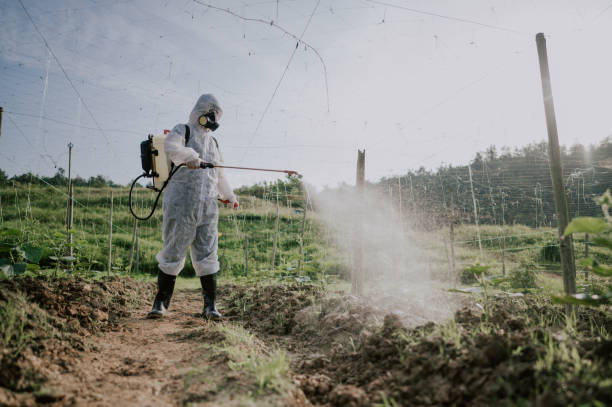 Best Affordable Pest Control Services  in Nebo, NC