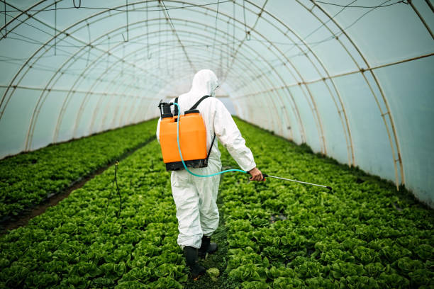 Best Emergency Pest Control  in Nebo, NC