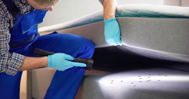 Best Pest Inspection Near Me  in Nebo, NC