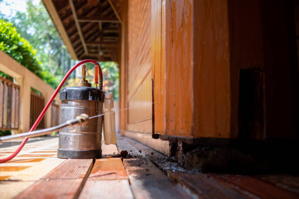 Best Pest Prevention Services  in Nebo, NC