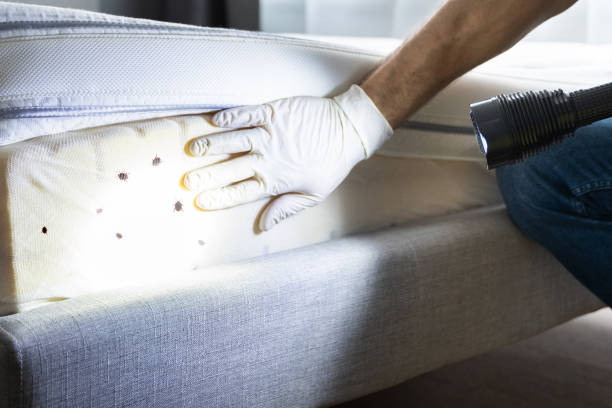 Best Pest Control Cost  in Nebo, NC