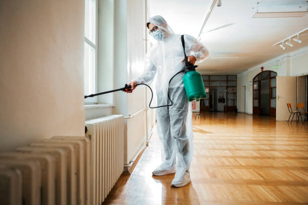 Best Best Pest Control Companies  in Nebo, NC