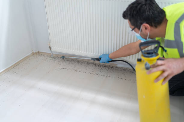 Pest Prevention Services in Nebo, NC