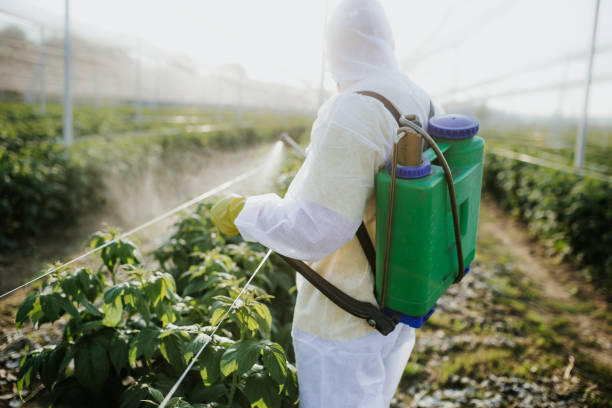 Best Pest Control Near Me  in Nebo, NC